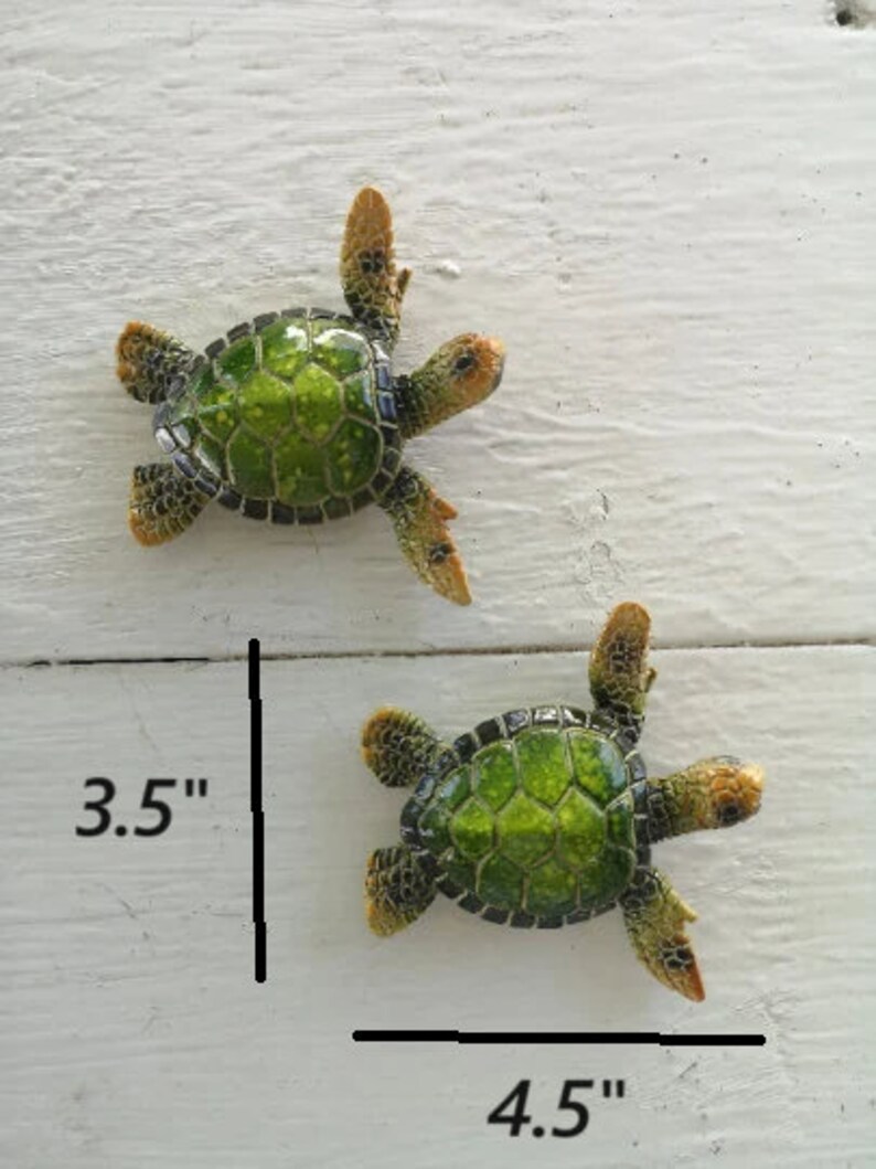 A majestic green sea turtle gracefully swimming through clear ocean waters. The turtle's shell is a rich shade of green with captivating patterns, and its flippers propel it with elegance