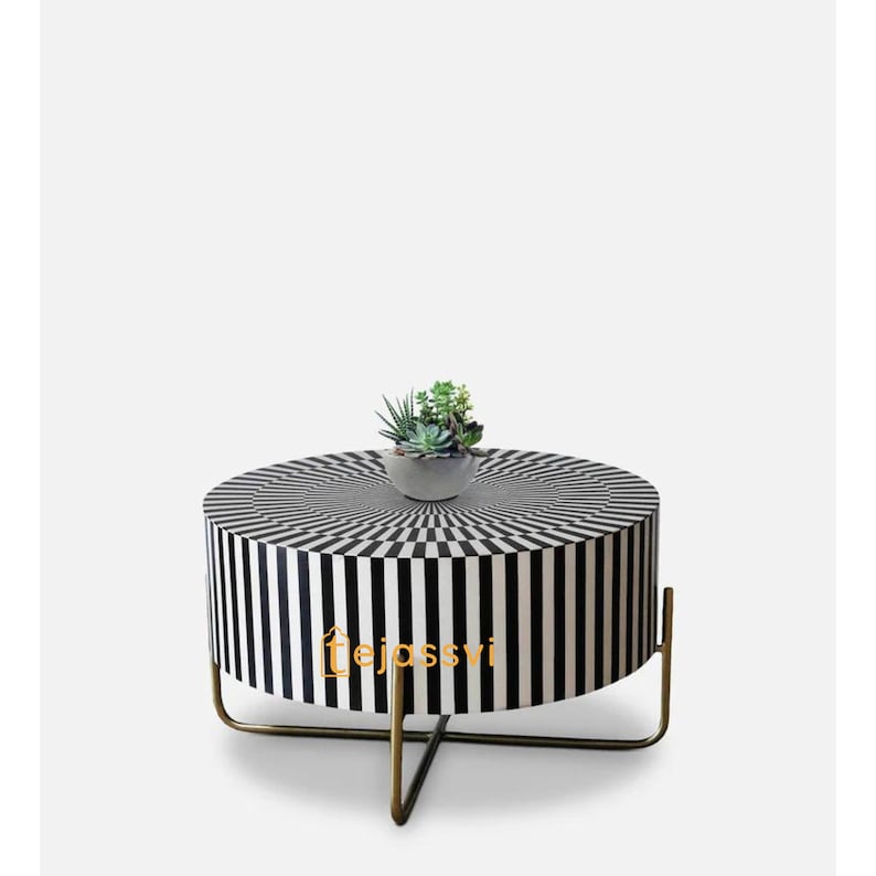 Op de afbeelding: Een ronde salontafel met een zwart-wit streepjespatroon op de zijkanten en een radiaal ontwerp op de bovenkant. De tafel heeft een goudkleurige metalen basis en houdt een kleine betonnen pot met vetplanten vast. Het woord "tejassvi" staat op de zijkant.