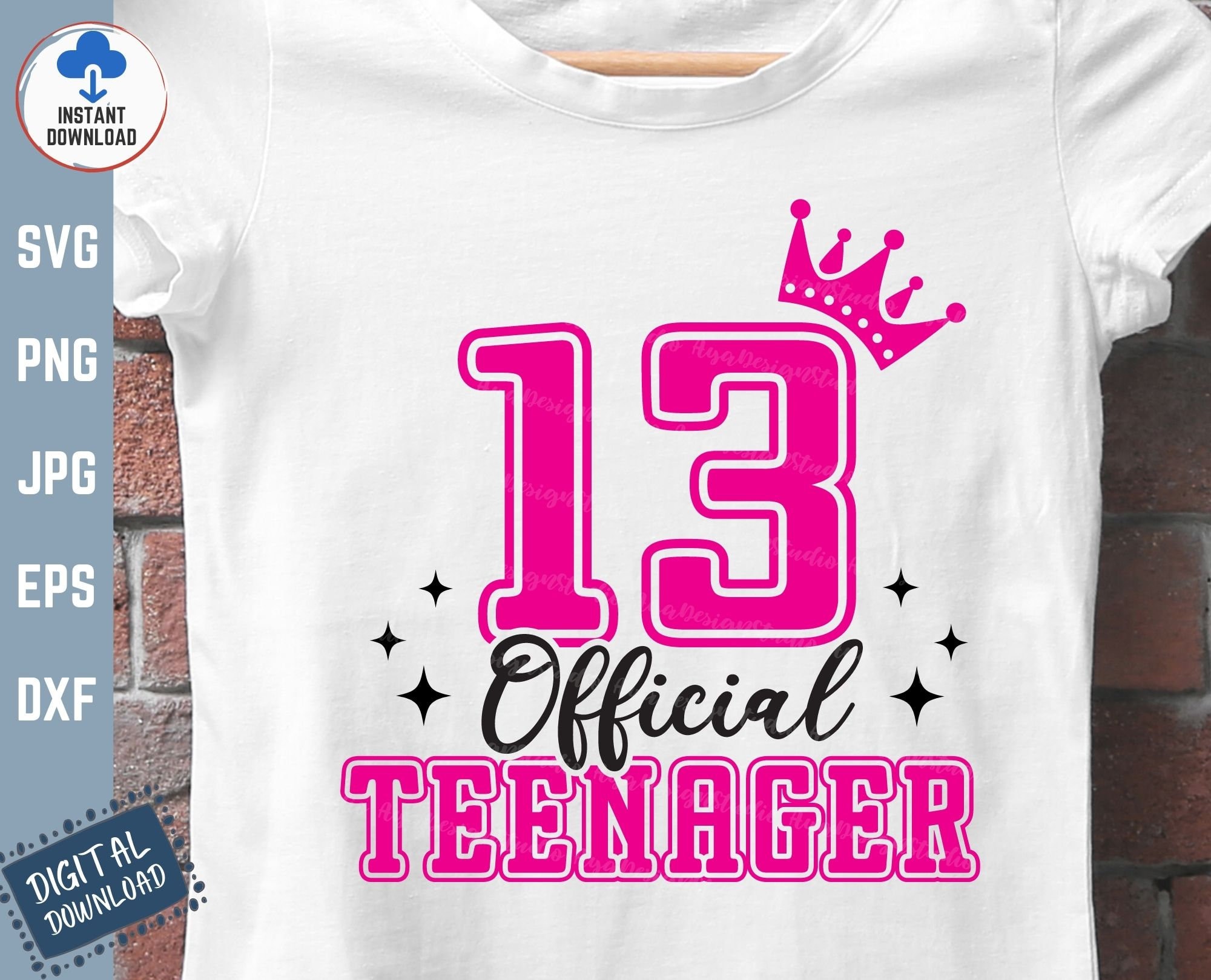 Official Teenager 13th Birthday T-Shirt Pink Print Official Teenager 13th Birthday T-Shirt Pink Print