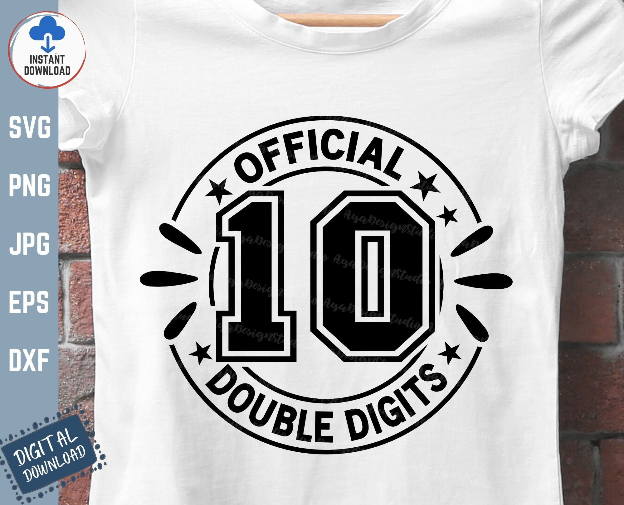 BLESS｜Celebrating 10 Years of DVD ブレス BLESS: Celebrating 10 Years of Themelessness No.00-No.29