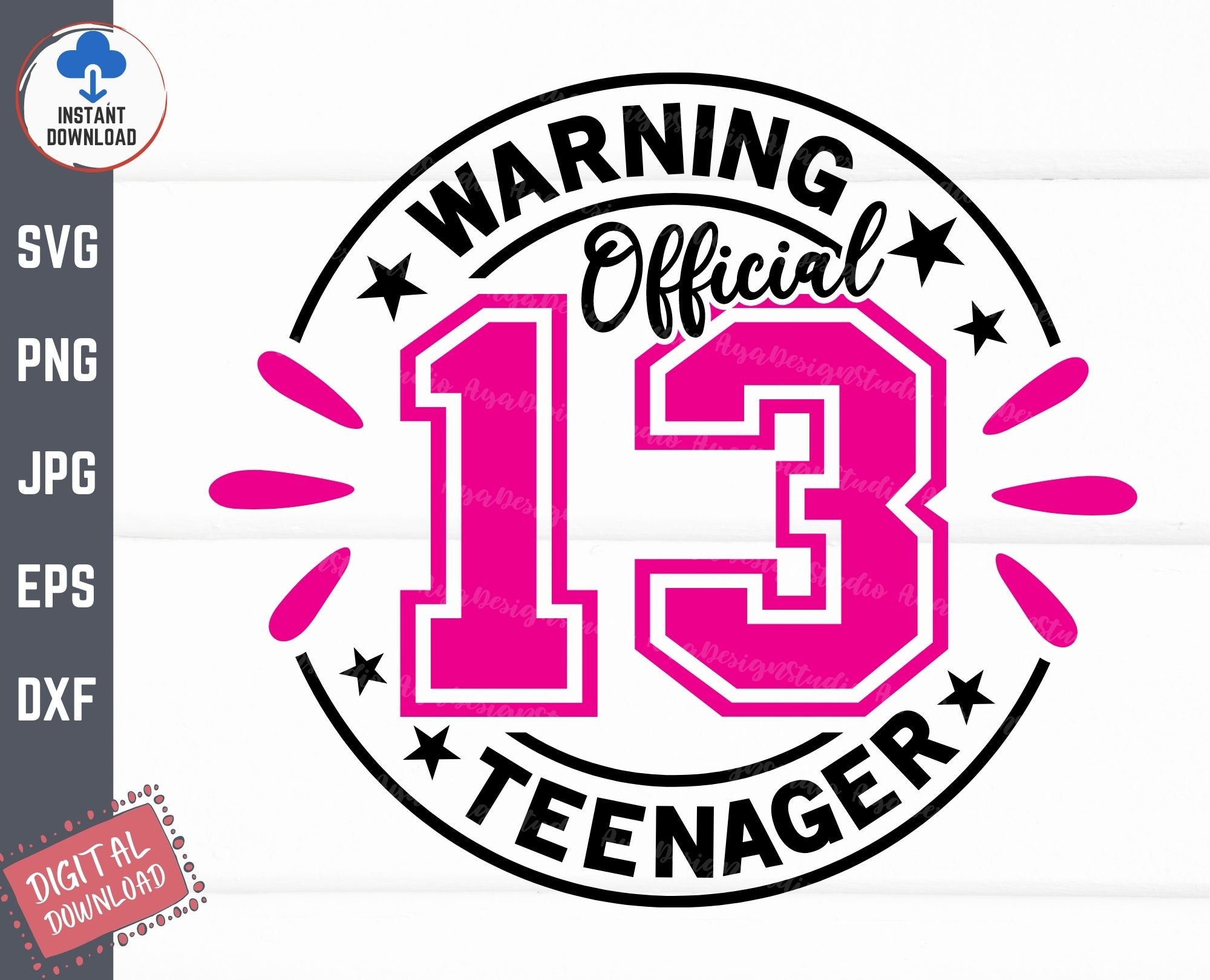 Warning Official Teenager Svg, 13th Birthday Girl Svg