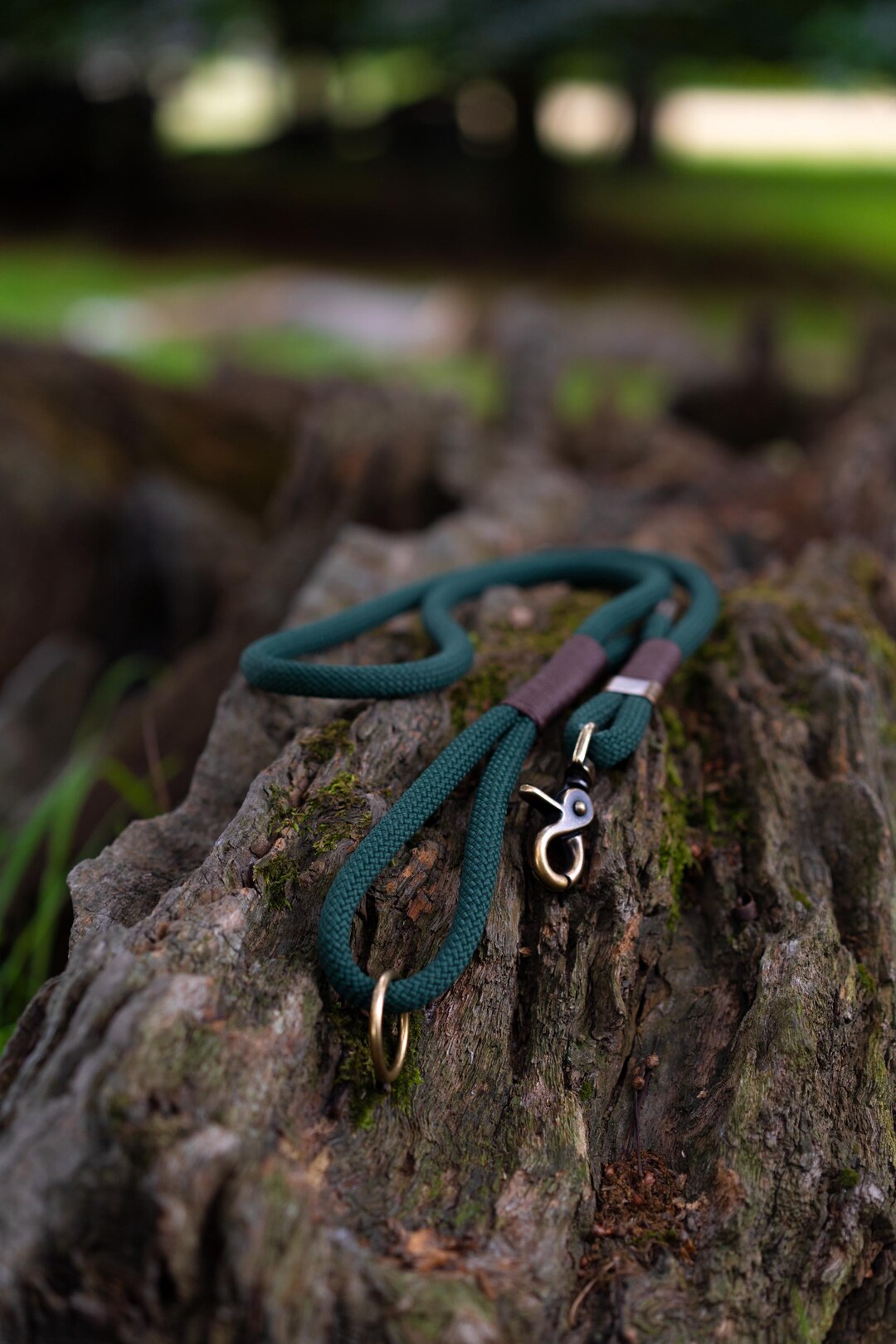 Rust Dog Rope Lead Handmade Dog Rope Lead, Dog Walking Accessories, Forest Green - Etsy