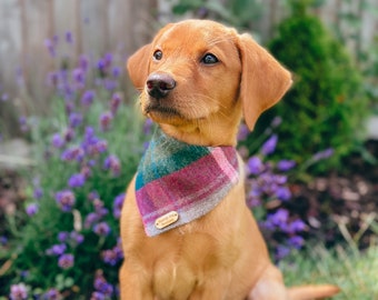 Dog Bandana Handmade, Slide on collar, Neckwear, Dog Accessories, Horsey Tweed