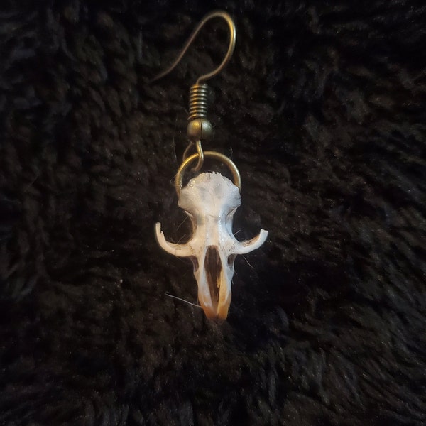 Real Skull Earring (Rodent - Partial)