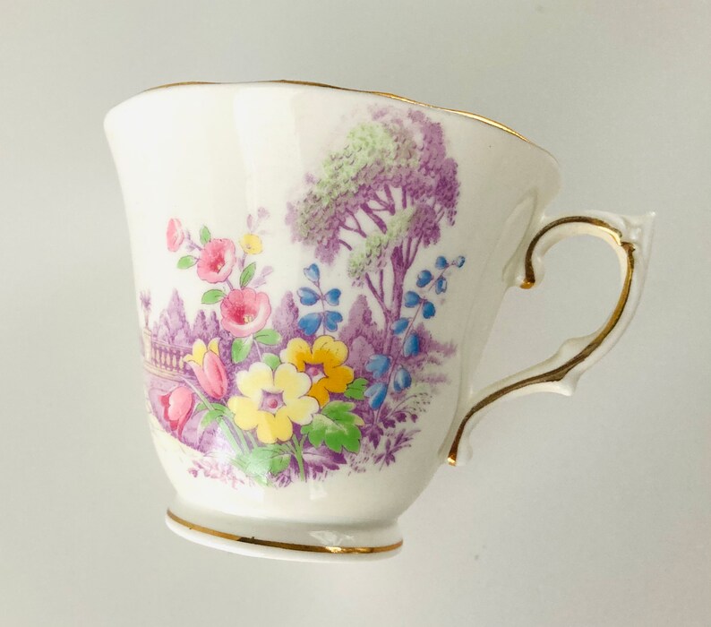 Colclough Garden Scene Tea Cup /& Saucer Set