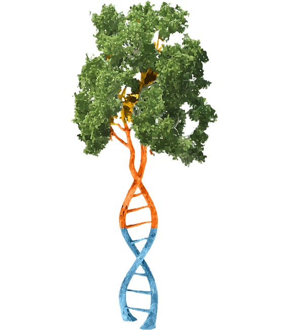 DNA Tree Of Life Earth Science Environment Biology Etsy