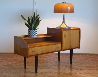 スペースエイジミッドセンチュリーチューリップショーケース引き出し