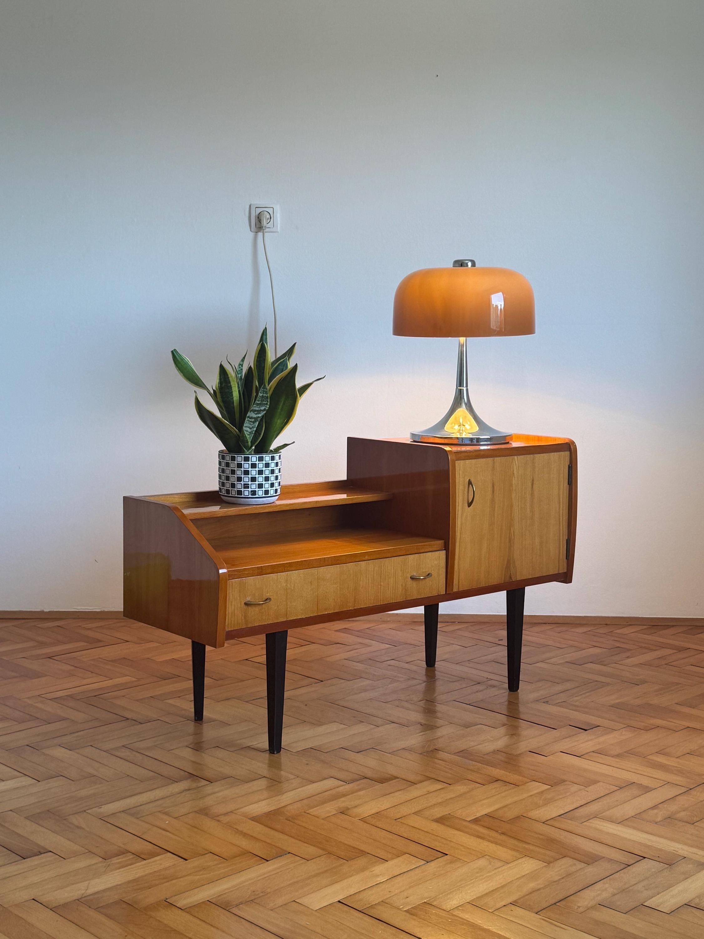 Vintage Small TV Unit Made in Lithuania 1960s