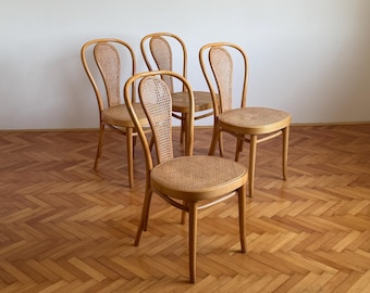Vintage Thonet Poland Bentwood Chair - Carved Faux Crocodile
