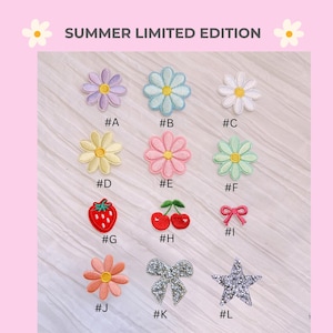 Pu&ograve; includere: Una collezione di toppe ricamate in varie forme e colori, tra cui fiori, una fragola, ciliegie, un fiocco e una stella. Le toppe sono etichettate con lettere e numeri, con il testo "SUMMER LIMITED EDITION" in alto.