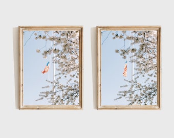 Impresiones de la Colección Flor de Cerezo, Conjunto de 2