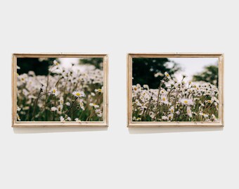 Flores Colección Impresiones, Set de 2