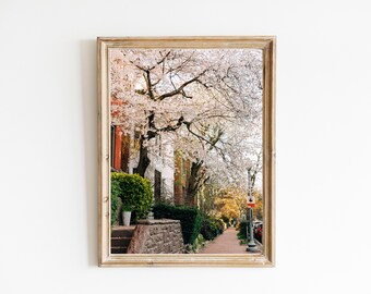 Colección Flor de cerezo, impresión única