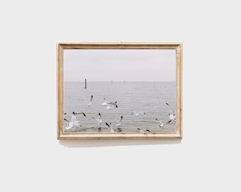 Colección Costera, impresión única