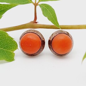 Könnte beinhalten: Ein Paar runde Ohrstecker mit leuchtend orangefarbenen Korallen-Cabochons, die in einem silberfarbenen Metall gefasst sind. Die Ohrringe werden vor einem weißen Hintergrund mit einem grünen, belaubten Zweig gezeigt.