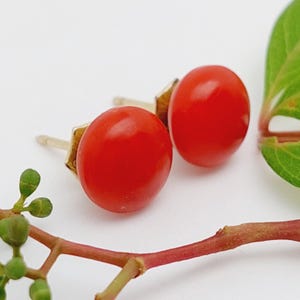 Puede incluir: Un par de pendientes de botón rojos y redondos con postes y cierres dorados. Los pendientes están sobre un fondo blanco, con una ramita de vegetación y un tallo rojo en primer plano.