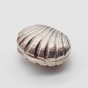 Op de afbeelding: Een zilverkleurige schelpvormige sieradendoos. De doos heeft een scharnierend deksel en is gedetailleerd met getextureerde lijnen, die op een schelp lijken. De doos is ovaal van vorm en ligt op een wit oppervlak.