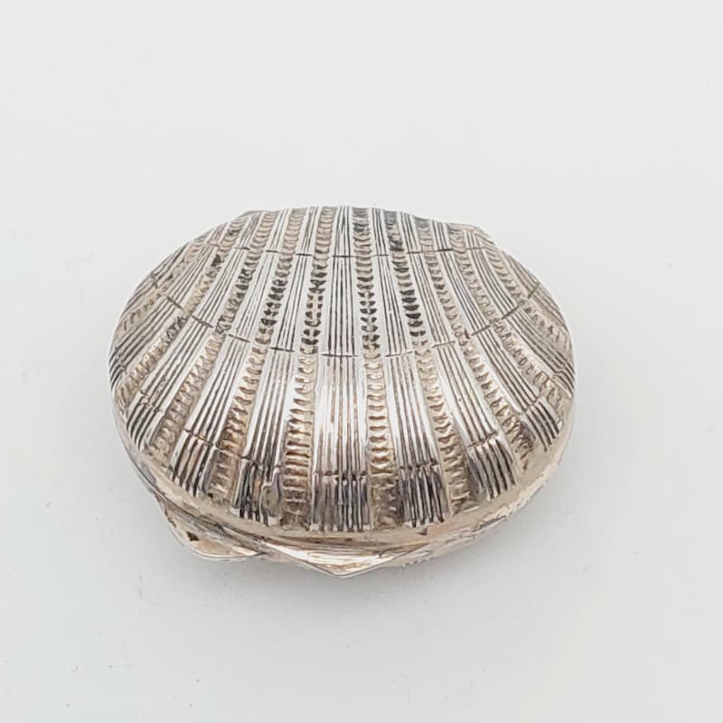 Shell Pill Box - Etsy