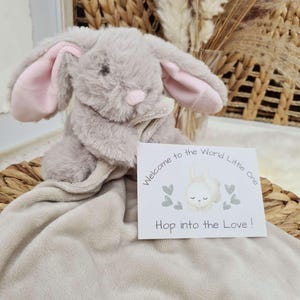 Personalised Embroidered Baby Comforter Blanket with Plush Toy: Dinosaur, Unicorn, or Bunny Pink Bunny
