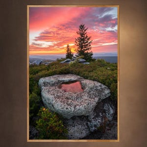 May include: A scenic landscape photograph of a rocky outcropping with a small pool of water reflecting the pink and orange hues of a sunset sky. Two pine trees stand tall in the foreground, silhouetted against the vibrant sky.