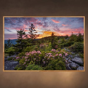 Sunset over the Roaring Plains Wilderness in West Virginia - Fine Art Nature Photography Print