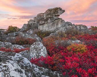 West Virginia Photography Prints - Autumn in the Dolly Sods WIlderness, LANDSCAPE PHOTOGRAPHY ART, Nature Wall Art, Living Room Wall Art