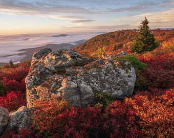 West Virginia Photography Prints - Autumn in the Dolly Sods WIlderness, LANDSCAPE PHOTOGRAPHY ART, Nature Wall Art, Living Room Wall Art