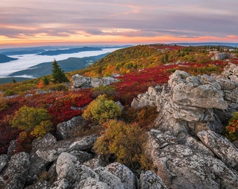 West Virginia Photography Prints - Autumn in the Dolly Sods WIlderness, LANDSCAPE PHOTOGRAPHY ART, Nature Wall Art, Living Room Wall Art