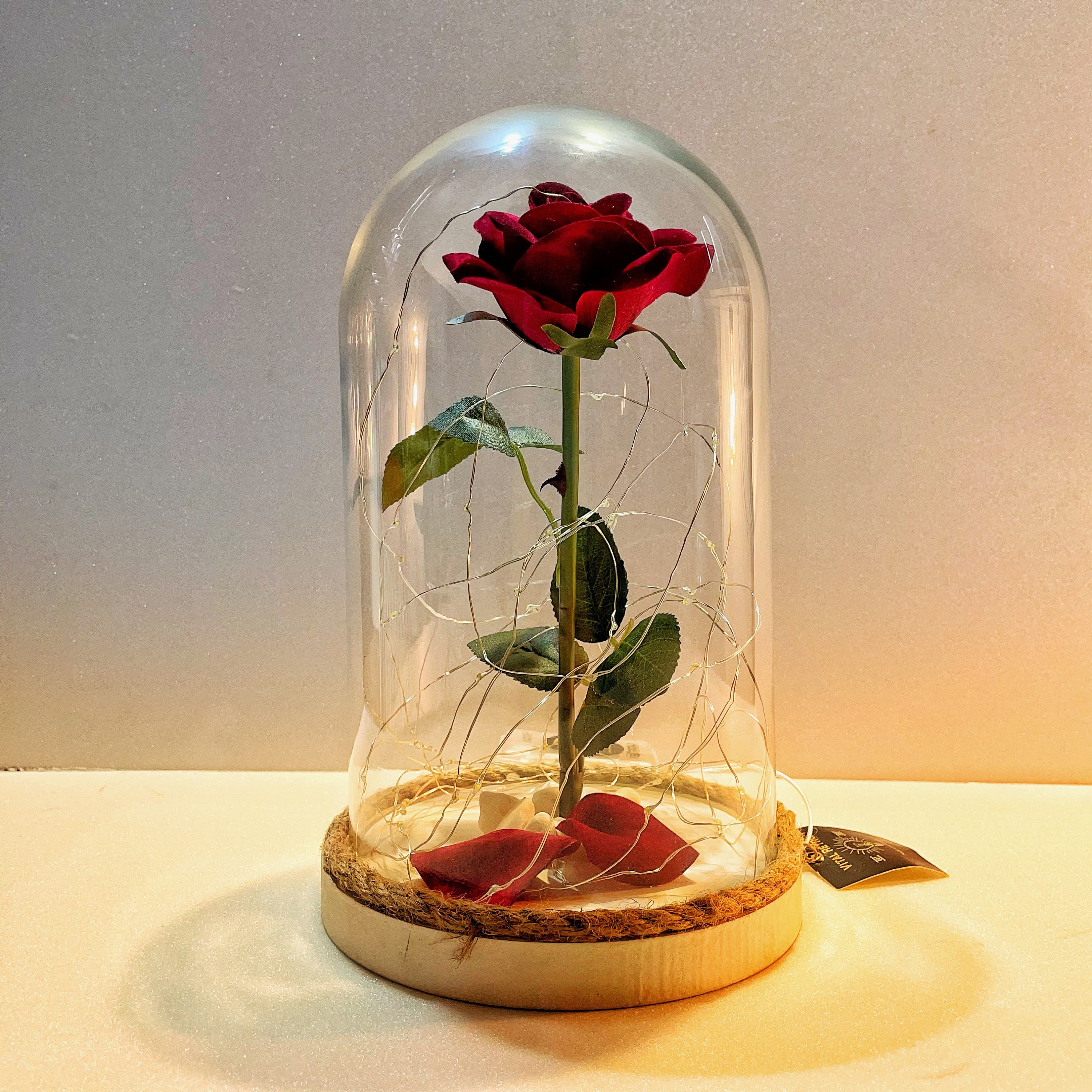 Rosa encantada La Bella y la Bestia Campana de Cristal Rosa Etsy