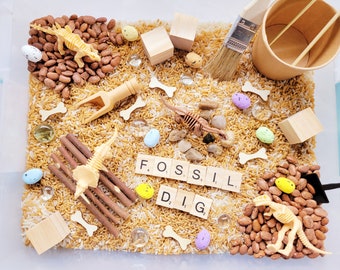 Dinosaur Fossil Kit, Dinosaur Sensory Kit, Fossil Dig Kit, 6 Year Old Birthday Gift, Dinosaur Birthday Gift, Fossil Birthday Party, 5 Year