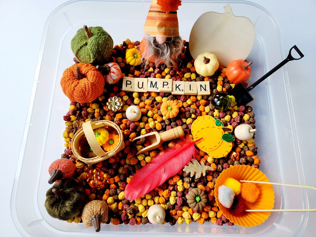 Pumpkin Sensory Bin Fall Sensory Kit Kids Fall Activity