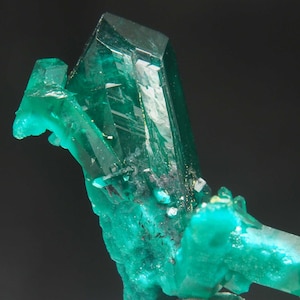 X DIOPTASE Reneville - CONGO