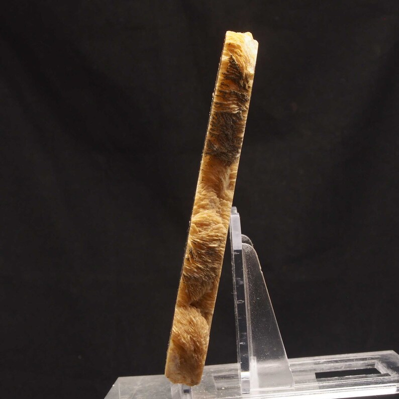 Op de afbeelding: Een rechthoekig mineraal specimen in lichtbruine tinten met donkerbruine insluitsels en een vezelachtige textuur. Het wordt gepresenteerd op een transparante acrylstandaard tegen een zwarte achtergrond. De schuine weergave toont het patroon.