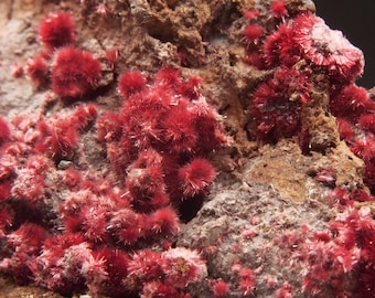 X ERYTHRITE - Agoudal Mine Morocco