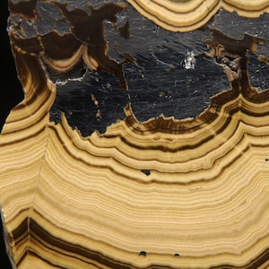 May include: Detailed image of a polished stone with a layered pattern. The stone displays bands of light tan and dark brown, with a large black section. The layers create a wave-like effect, showcasing natural geological formations.