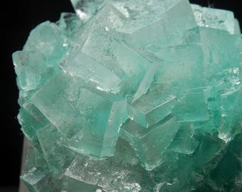 X HALITE met LIBETHENITE, Rudna Cu mijn Polen