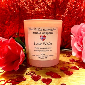 vanilla scented soy candle white tea scented candle jasmine scent valentines day gift mothers day gift soy candle clean burning floral scent
