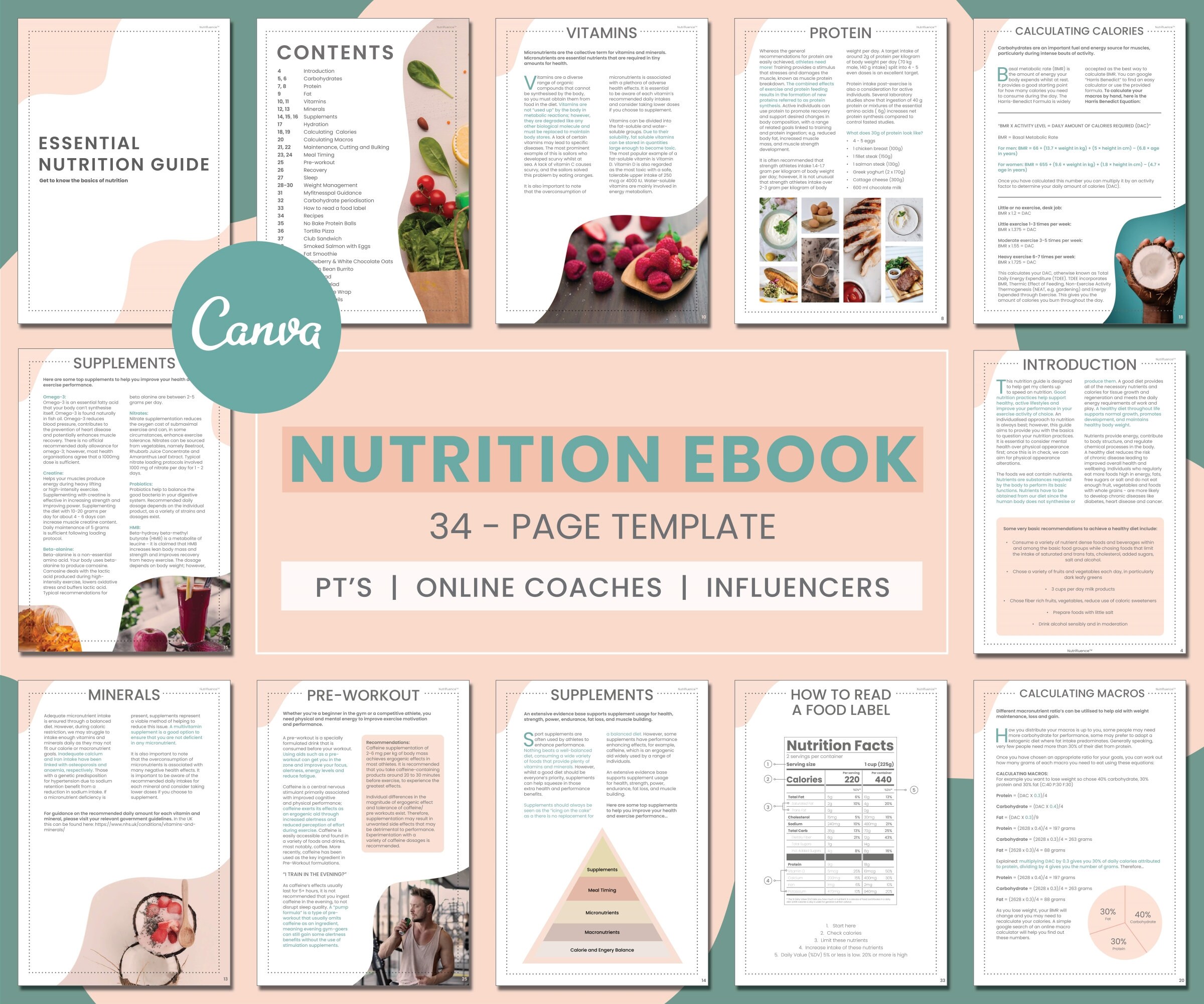 Nutrition Guide Canva Template Content Included Lead Magnet Done For 