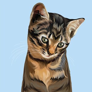 Op de afbeelding: Een bruin tabby-kittens met groene ogen die naar beneden kijkt. Het kitten heeft witte snorharen en staat tegen een lichtblauwe achtergrond.