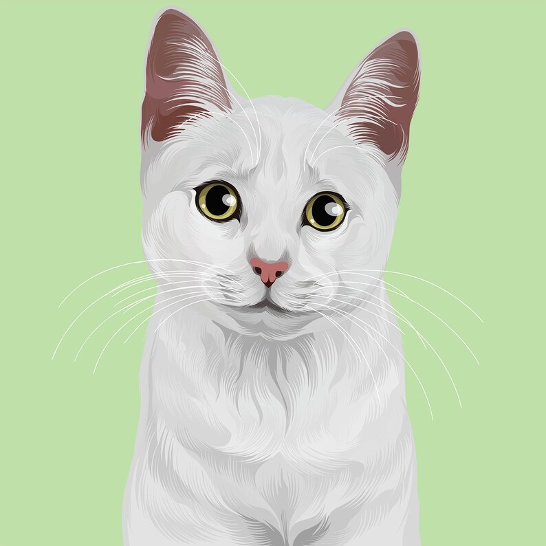 Op de afbeelding: Een witte kat met groene ogen en een roze neus. De kat kijkt recht naar de kijker.