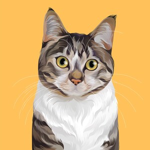 Op de afbeelding: Een close-up van een tabbykat met witte vacht op zijn borst en buik. De kat heeft groene ogen en een lichtoranje achtergrond.