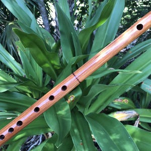 Wood Flute of Brazilian Teak G Major Gentle Winds Flutes