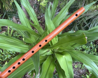 Shop als tweede! Fluitsleutel van G-standaard toonhoogte Braziliaans teak wormgat
