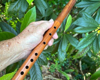 Dwarsfluittoonsoort van Braziliaans G-teak