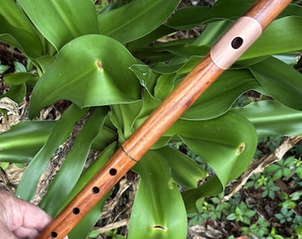 Handgefertigte Hölzerne Querflöte in G Goncalo Alves
