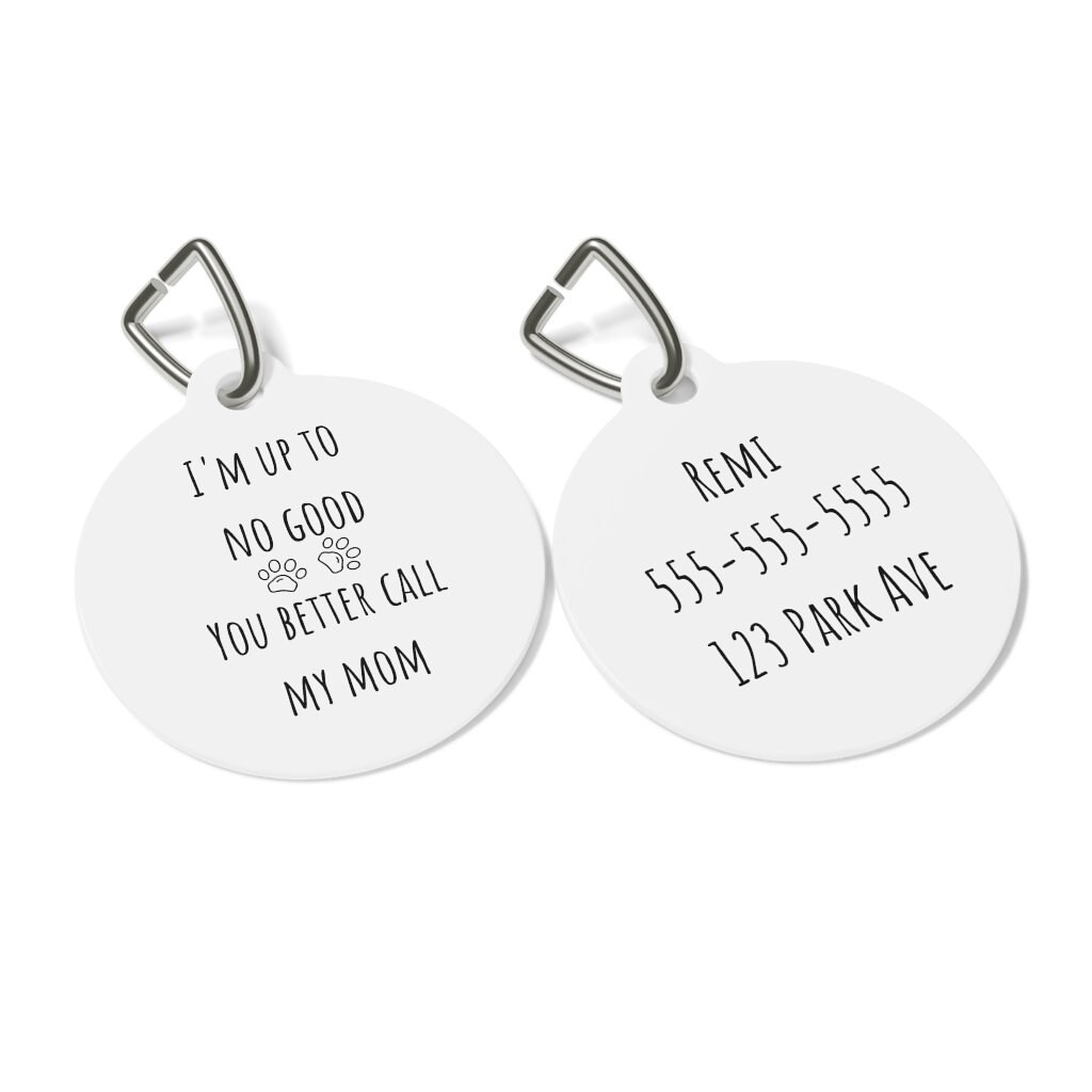 Funny Dog Tag Dog Tag Pet Id Tag Dog Id Tag Dog Name Tag Etsy UK