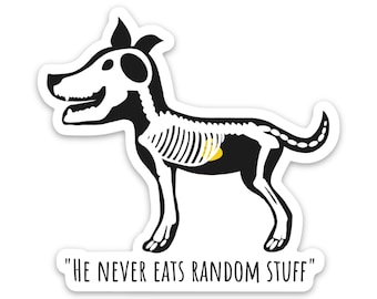 Può includere: Un adesivo a forma di cane nero con una sovrapposizione di scheletro bianco che mostra un oggetto giallo nell'area dello stomaco. Sotto il cane, il testo "HE NEVER EATS RANDOM STUFF" è scritto in maiuscolo nero su sfondo bianco sagomato.