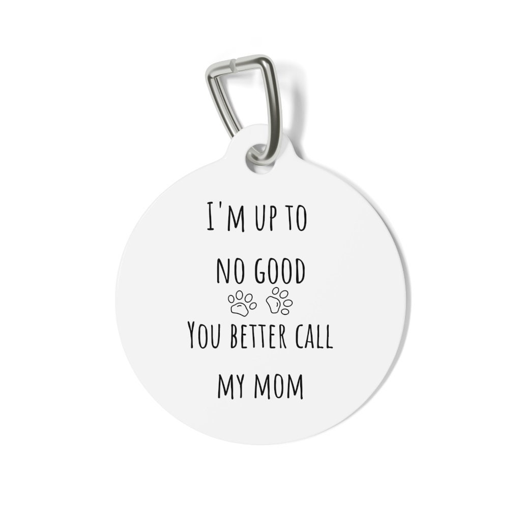 Funny Dog Tag Dog Tag Pet Id Tag Dog Id Tag Dog Name Tag Etsy UK