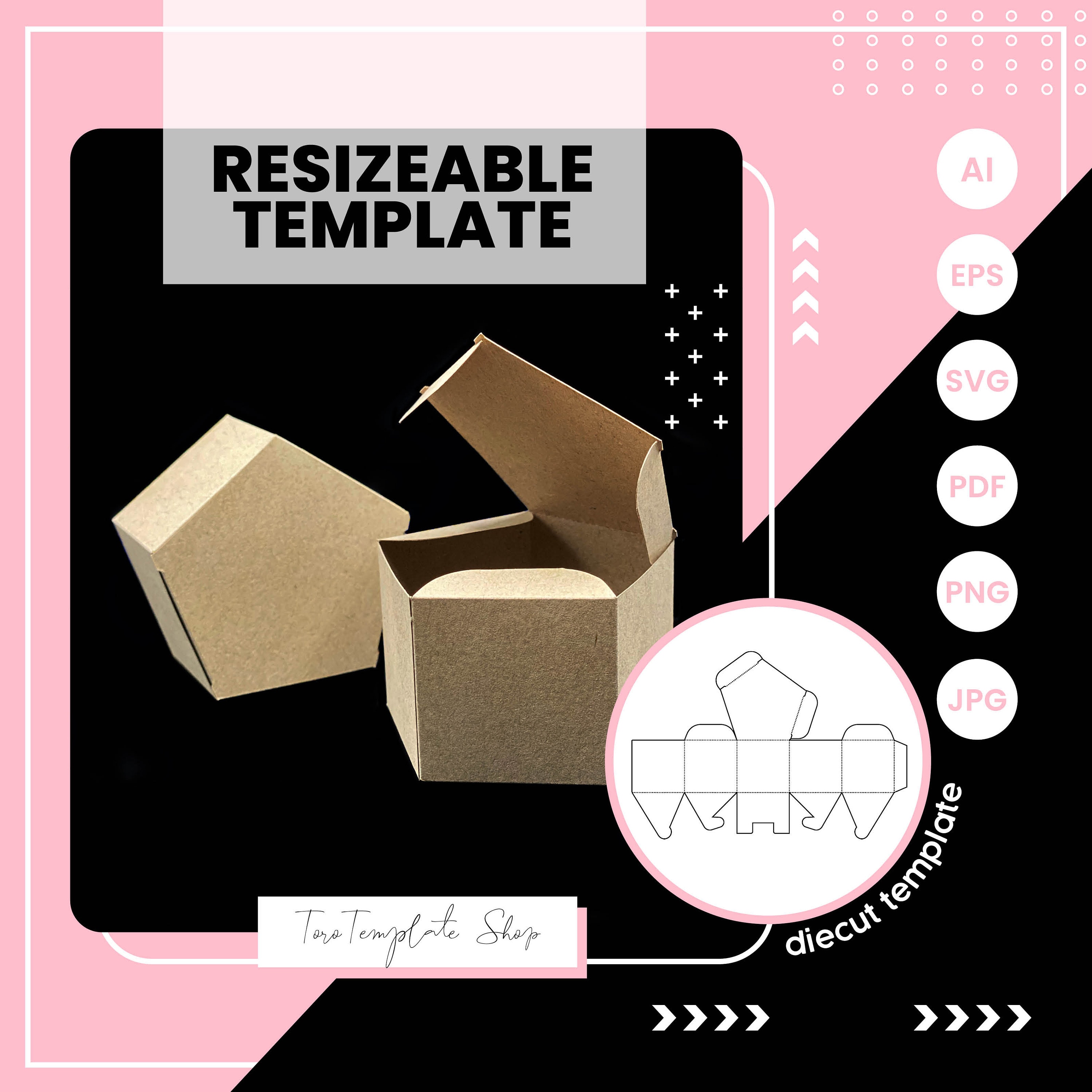 Étui Pour Appareil PENTAGON SIX – Format Moyen 6x6 – Neuf Sans Emballage