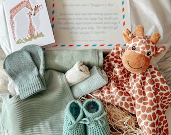 New Baby Gift Set | Baby boy gift | Baby Girl Gift, Newborn gift box, Safari Animal Gift, Baby Shower Gift, Baby Gift, Giraffe Baby Hamper